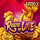 fun88 newcastle deal