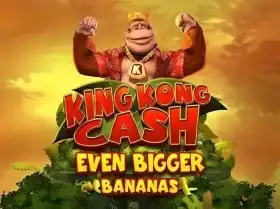bet365 eská republika